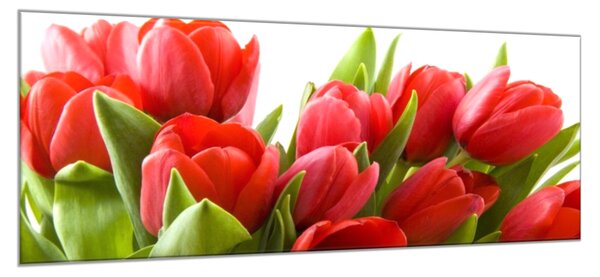 Obraz skleněný červené tulipány - 30 x 60 cm