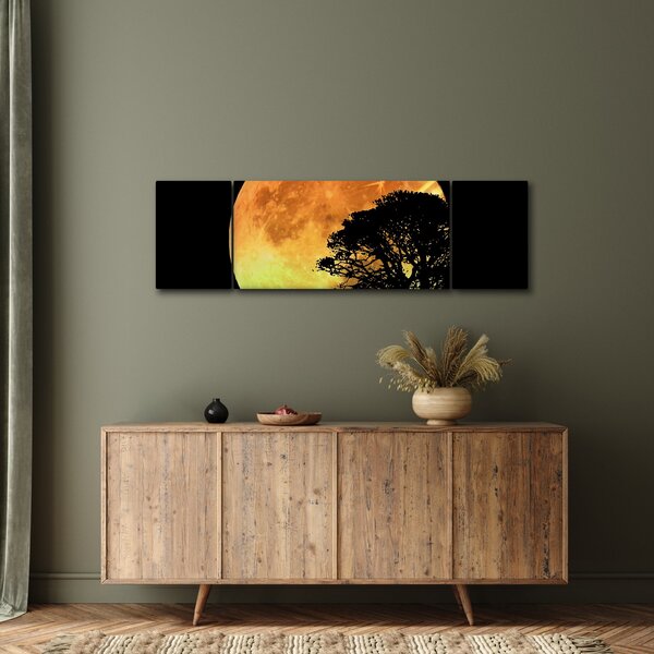 Obraz stínů v měsíčním světle (170x50 cm)