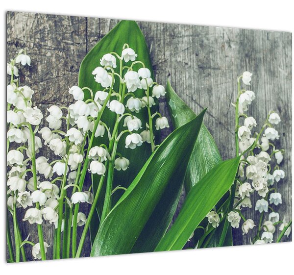 Skleněný obraz konvalinek (70x50 cm)