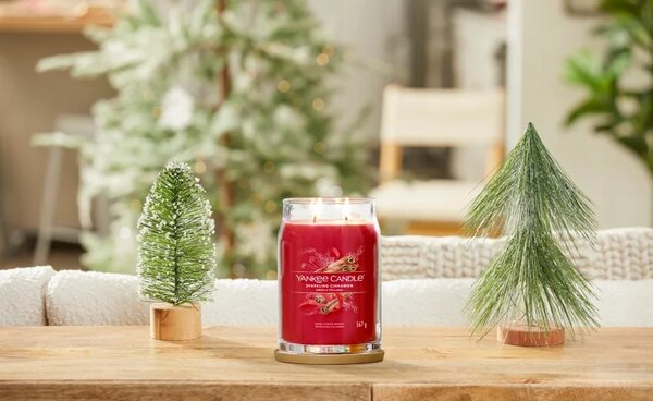 Yankee Candle Signature Sparkling Cinnamon 567 g