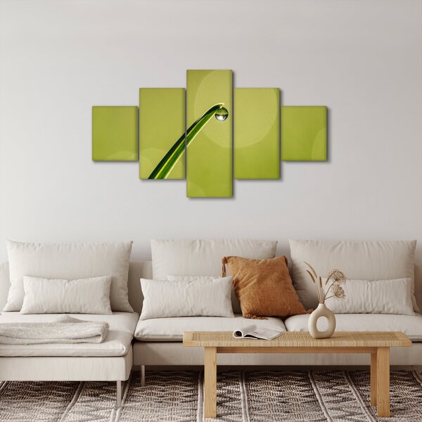 Obraz kapky vody na trávě (125x70 cm)