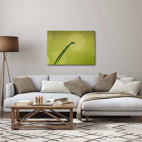 Obraz kapky vody na trávě (70x50 cm)