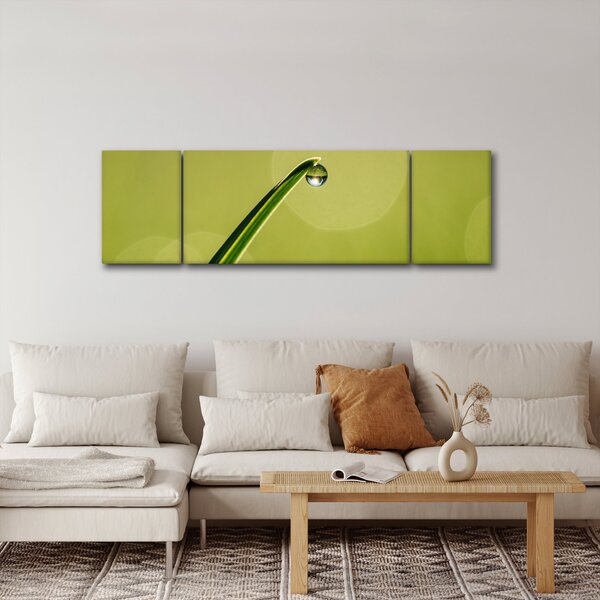 Obraz kapky vody na trávě (170x50 cm)