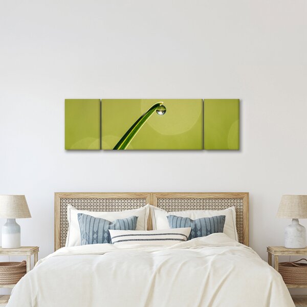 Obraz kapky vody na trávě (170x50 cm)