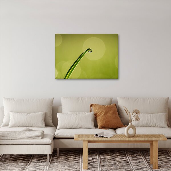 Obraz kapky vody na trávě (70x50 cm)