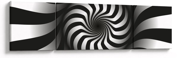 Abstraktní obraz černobílé spirály (170x50 cm)