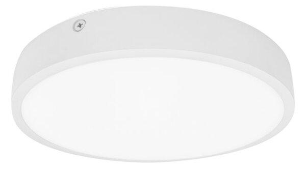 Palnas Stropní/nástěnné LED svítidlo EGON ø 22 cm Barva: Bílá, 3000K