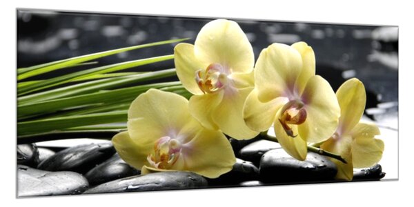 Obraz skleněný květy žlutá orchidej na černých kamenech - 52 x 60 cm