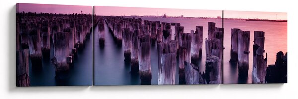 Obraz dřevěných kůlů (170x50 cm)