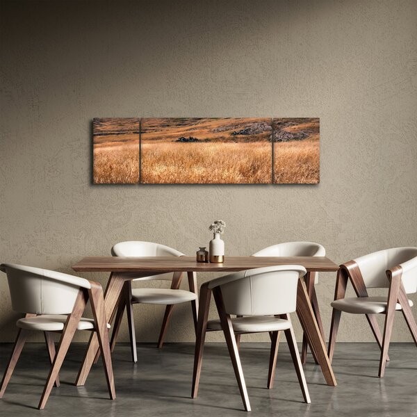 Obraz pole (170x50 cm)
