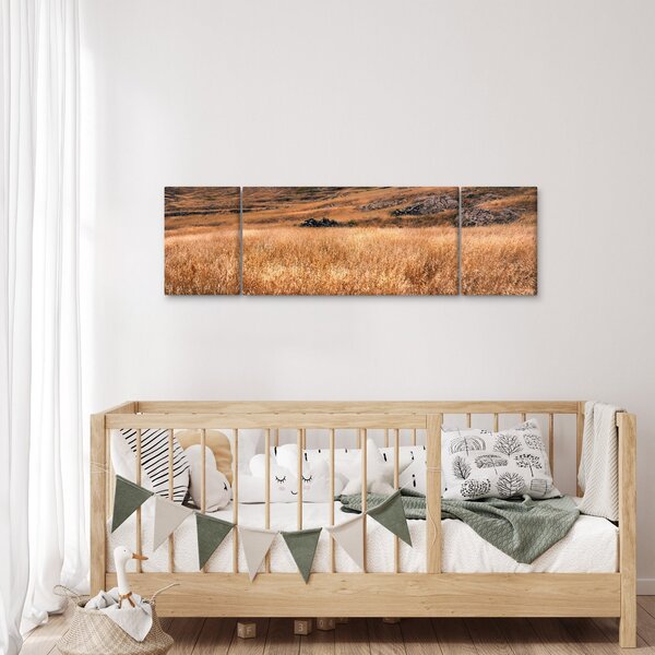 Obraz pole (170x50 cm)