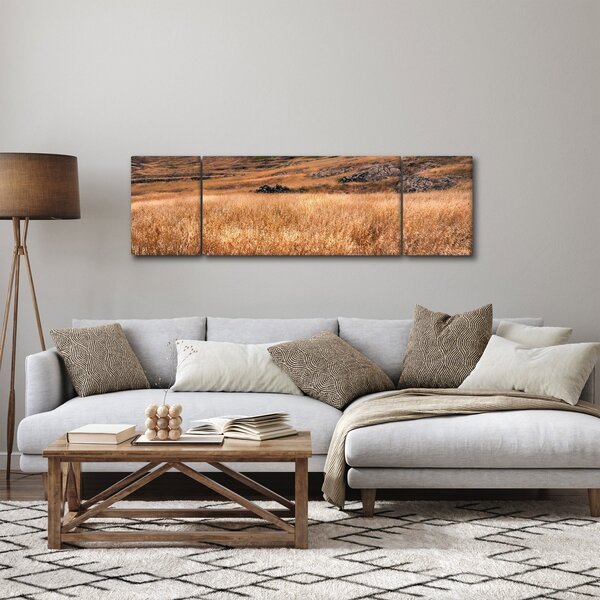 Obraz pole (170x50 cm)