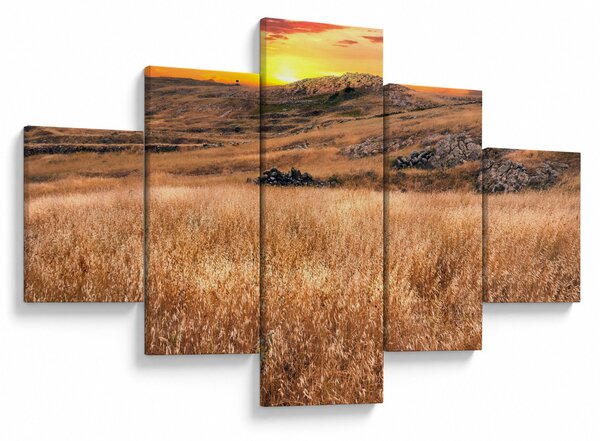 Obraz pole (125x70 cm)