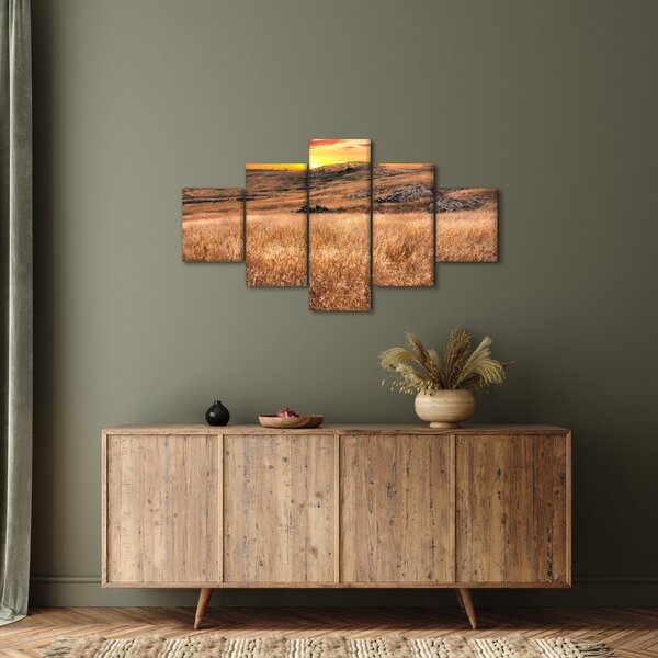 Obraz pole (125x70 cm)