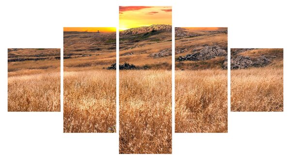 Obraz pole (125x70 cm)