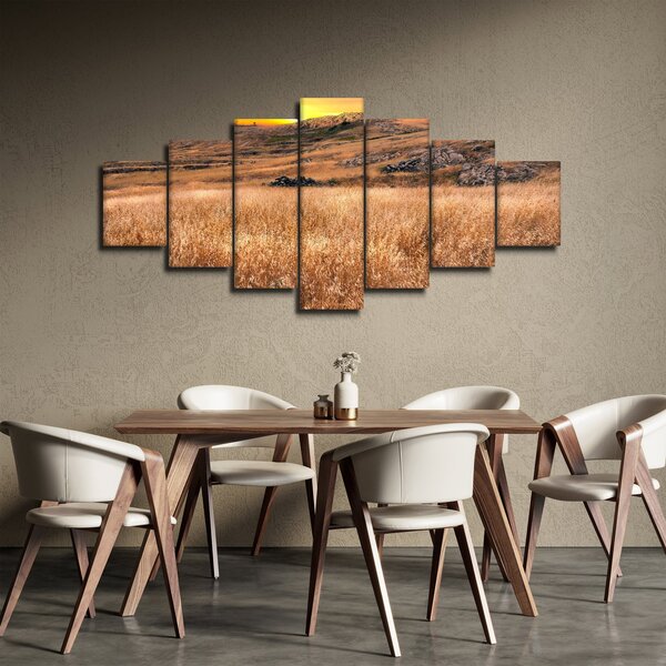 Obraz pole (210x100 cm)
