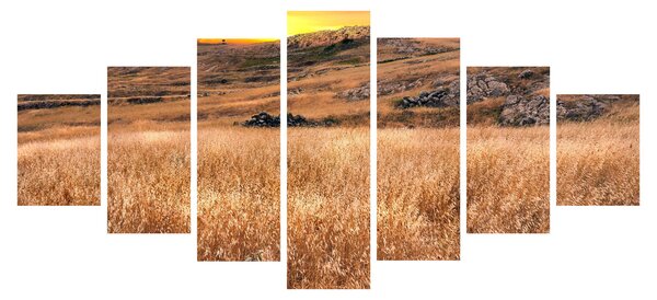 Obraz pole (210x100 cm)