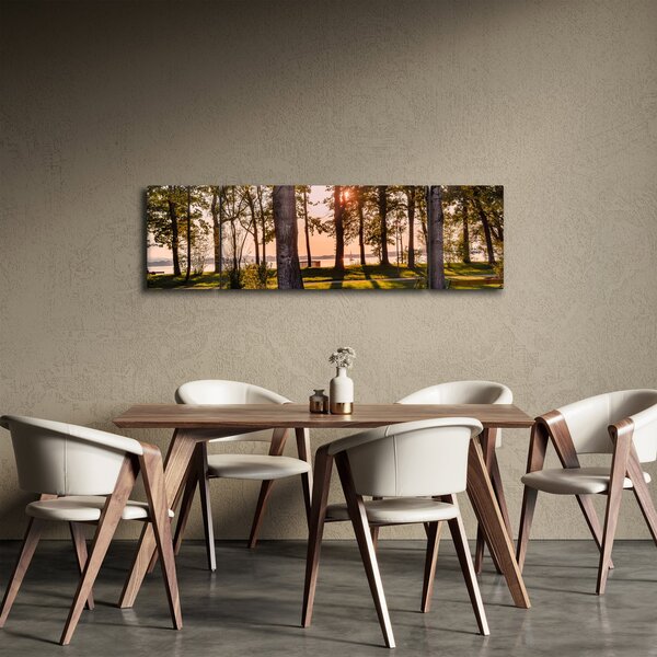 Obraz stromů u jezera (170x50 cm)