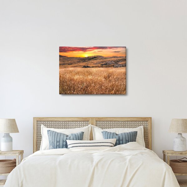 Obraz pole (70x50 cm)