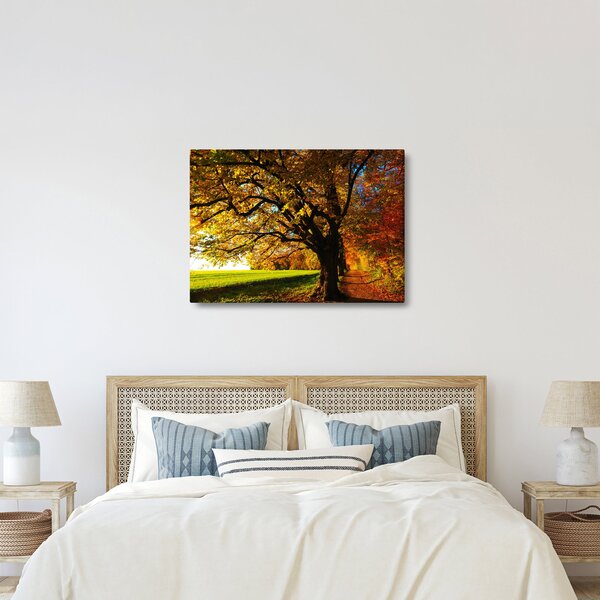 Obraz podzimního stromu (70x50 cm)