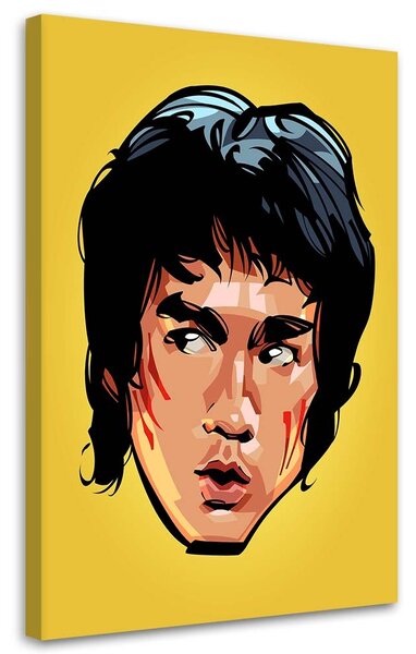 Obraz na plátně Tvář Bruce Leeho - Nikita Abakumov Rozměry: 40 x 60 cm