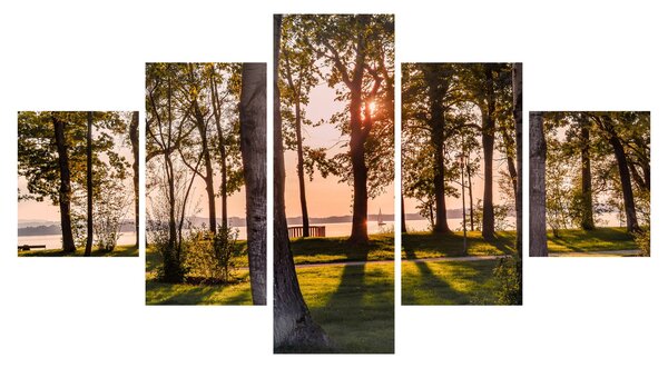 Obraz stromů u jezera (125x70 cm)