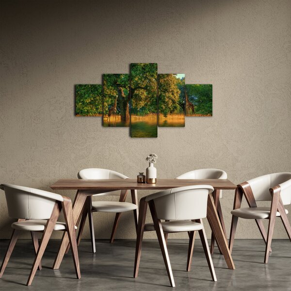 Obraz žiraf v přírodě (125x70 cm)