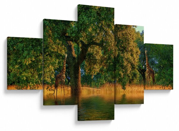 Obraz žiraf v přírodě (125x70 cm)