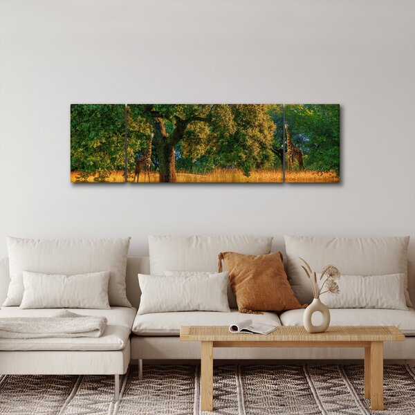 Obraz žiraf v přírodě (170x50 cm)