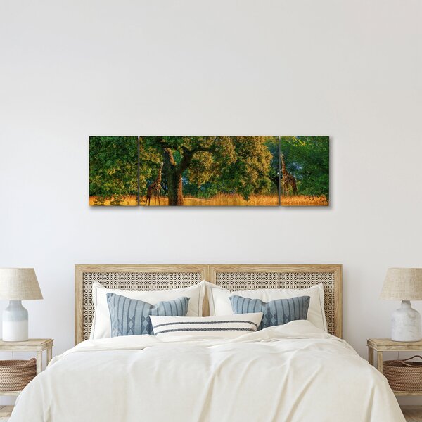 Obraz žiraf v přírodě (170x50 cm)