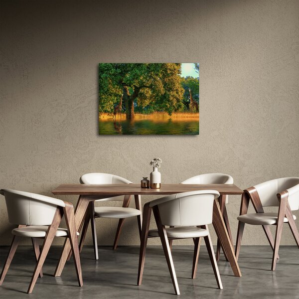 Obraz žiraf v přírodě (70x50 cm)