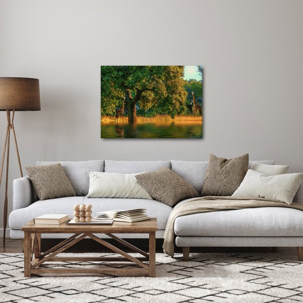 Obraz žiraf v přírodě (70x50 cm)