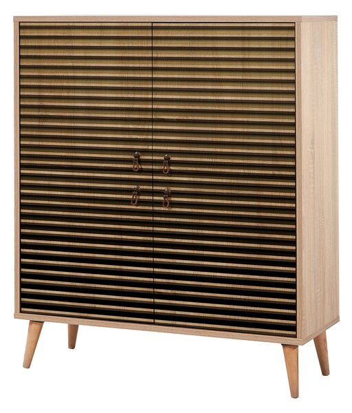 ASIR Skříňka MULTILUX220