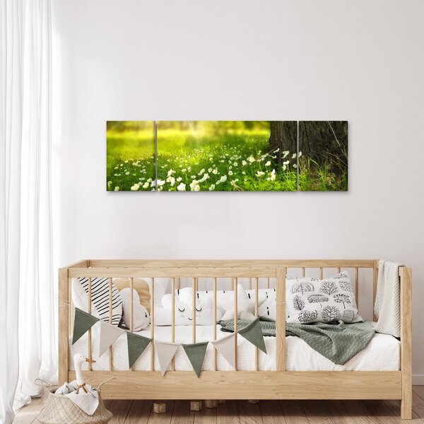 Obraz paseky a květin (170x50 cm)