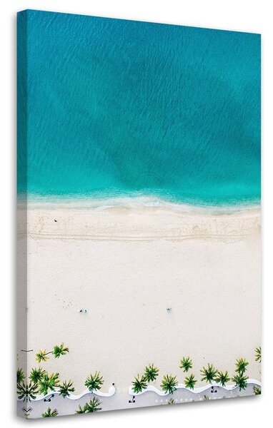 Obraz na plátně Prázdná pláž - Nikita Abakumov Rozměry: 40 x 60 cm