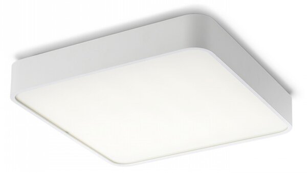 Rendl - Design Přisazené svítidlo Mensa SQ 48 stropní Barva: Bílá