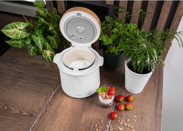 Concept RE3030 - Digitální rýžovar 2v1 380W/230V 1,5 l bílá/dekor dřeva