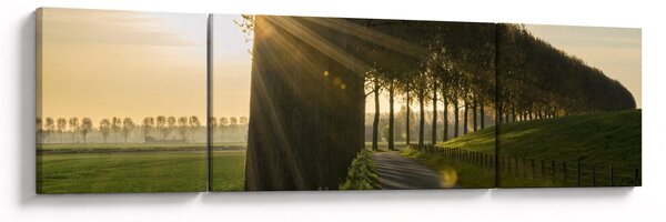 Obraz aleje (170x50 cm)