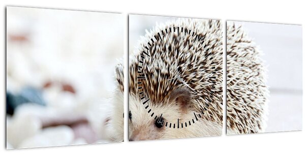 Obraz ježka (s hodinami) ()