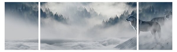 Obraz vlků (170x50 cm)