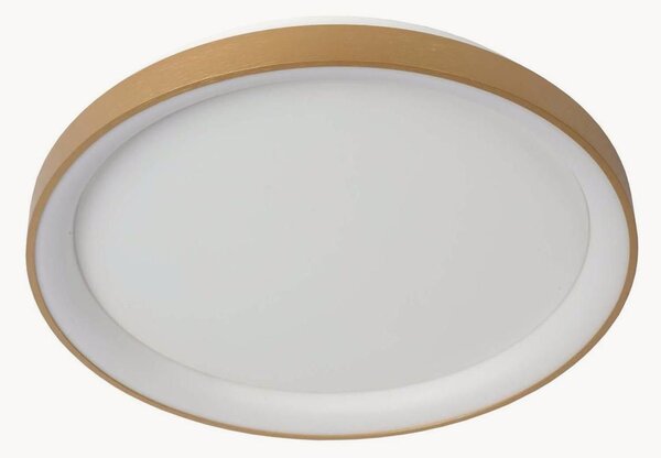 Stmívatelné stropní LED svítidlo Vidal