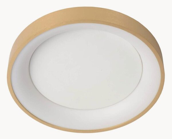 Stmívatelné stropní LED svítidlo Vidal