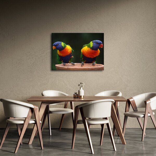 Obraz papoušků (70x50 cm)
