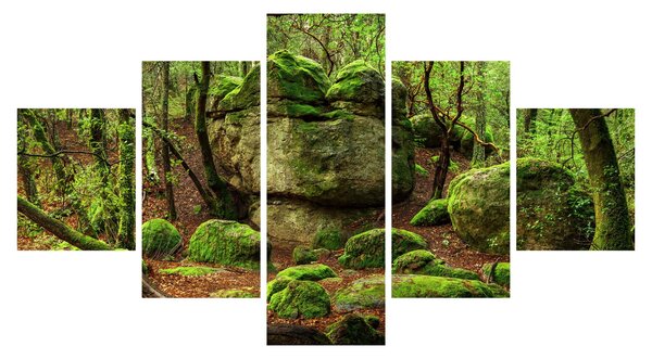 Obraz kouzelného lesa (125x70 cm)