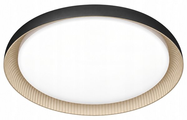 Stropní přisazené svítidlo Philips 10 W černé 1950 lm