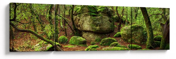 Obraz kouzelného lesa (170x50 cm)