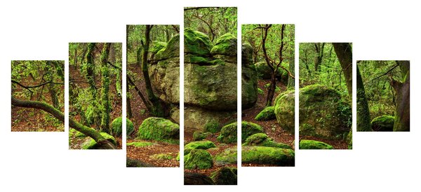 Obraz kouzelného lesa (210x100 cm)