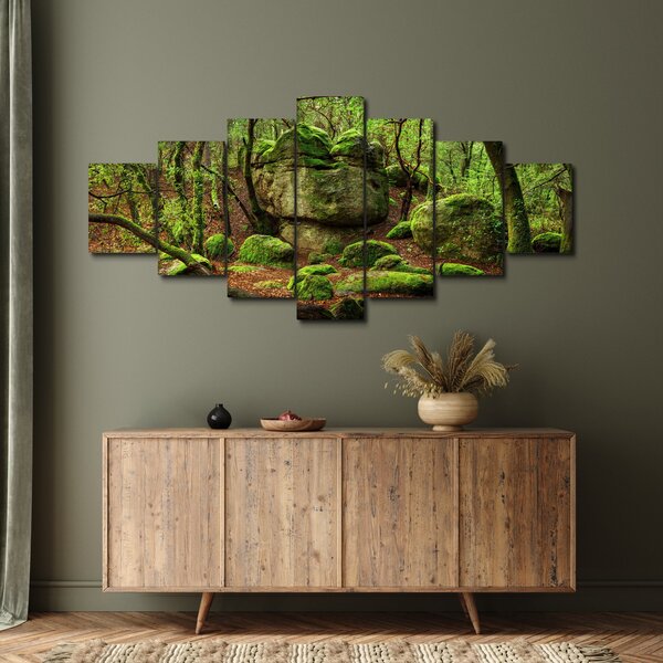 Obraz kouzelného lesa (210x100 cm)