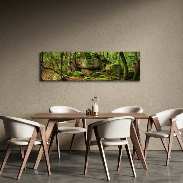 Obraz kouzelného lesa (170x50 cm)