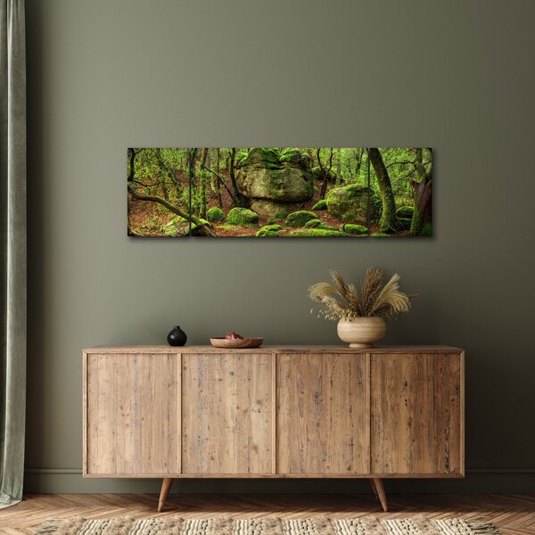 Obraz kouzelného lesa (170x50 cm)